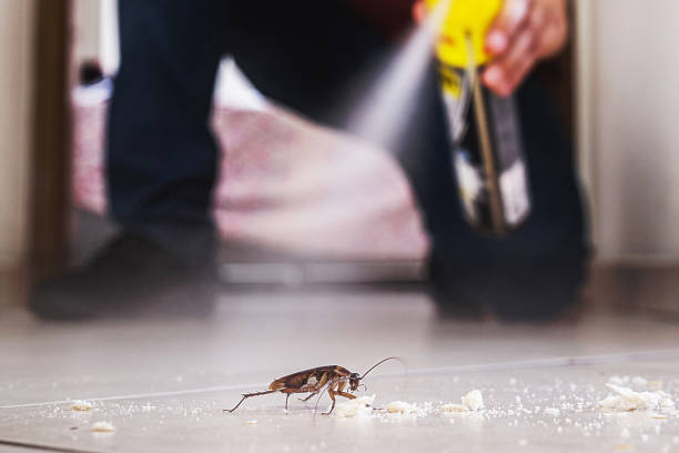 Best Local Pest Control Services  in Monroe, UT